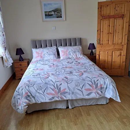 Frühstückspension Lisduvogue House 3*