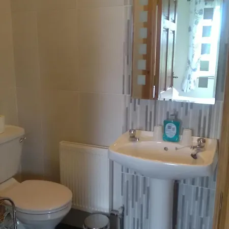 Bed & Breakfast Lisduvogue House 3*