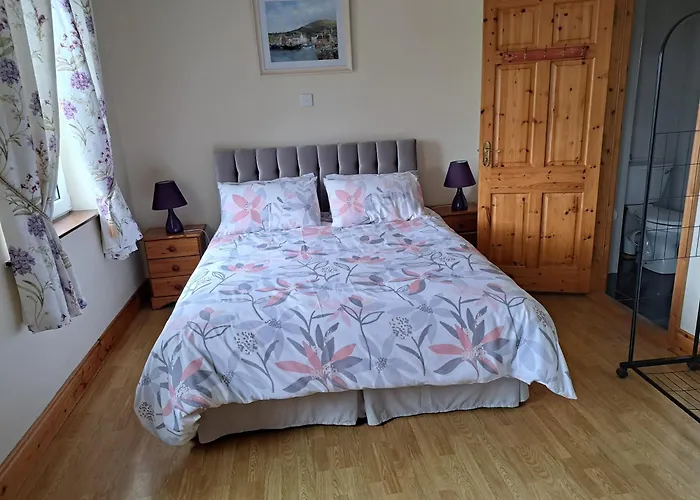 Bed & Breakfast Lisduvogue House 3*