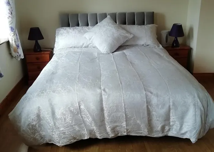 Bed & Breakfast Lisduvogue House Ballina (Mayo)