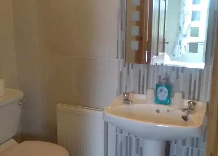 Bed & Breakfast Lisduvogue House 3*