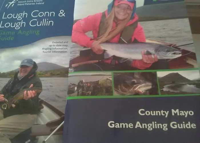 Lisduvogue House 3* Ballina (Mayo)